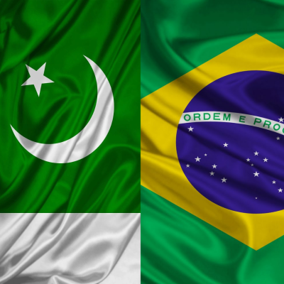 Importação Exportação Cobalori